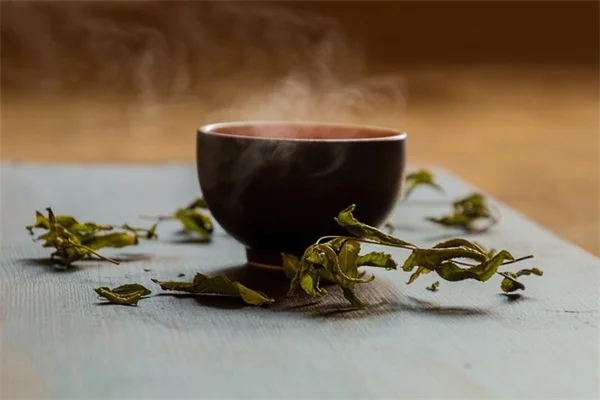 微気候を味方につけて庭の植物を増やす秘訣