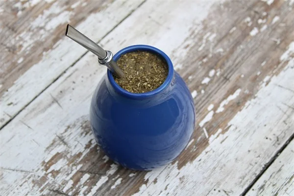 中西部の侵略的植物を駆除！ミシガン州で私が試した5つの危険種と見分け方