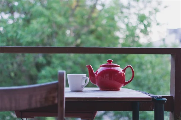 中西部の侵略的植物を駆除！ミシガン州で私が試した5つの危険種と見分け方