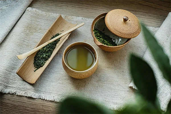 南瓜葉食べられる？試した簡単レシピと栄養